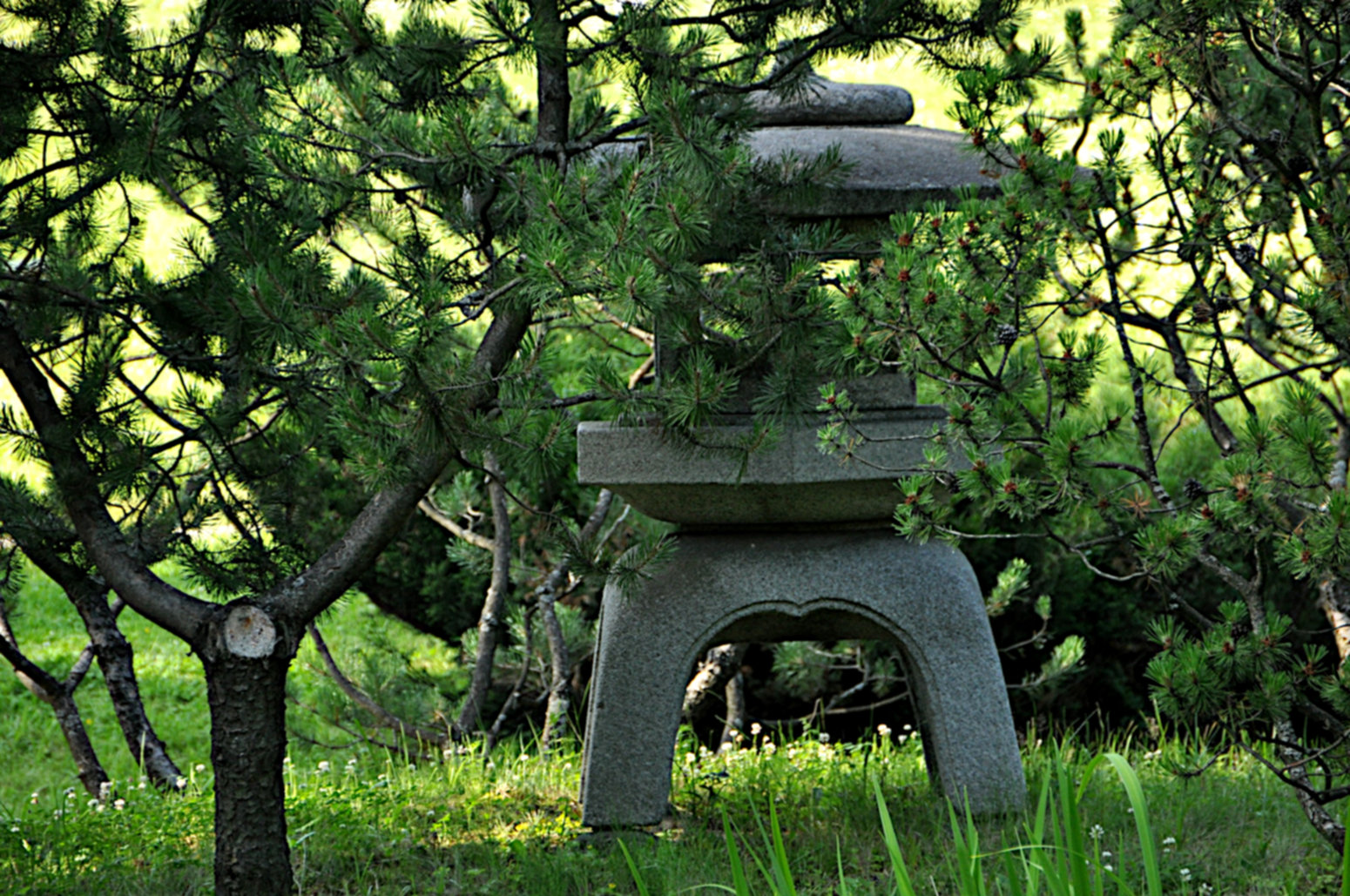 МАФ в японском саду