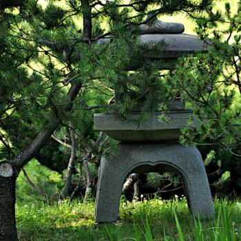 МАФ в японском саду